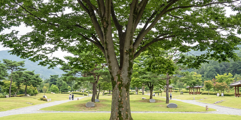 가족 수목장(Family)