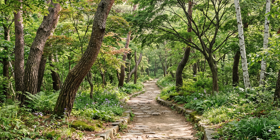 B 구역 (Standard Zone)