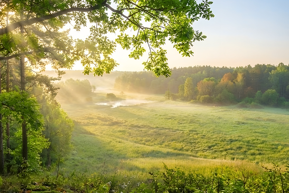 자연으로 돌아가 영면하다